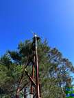 a large metal sculpture with a crane on top